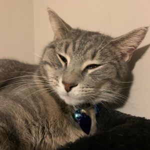 Meet your Posher, Sam